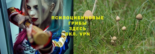 мдпв Балабаново